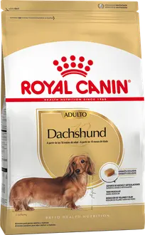 Foto de Royal Canin Dachshund (Salchicha) Adulto
