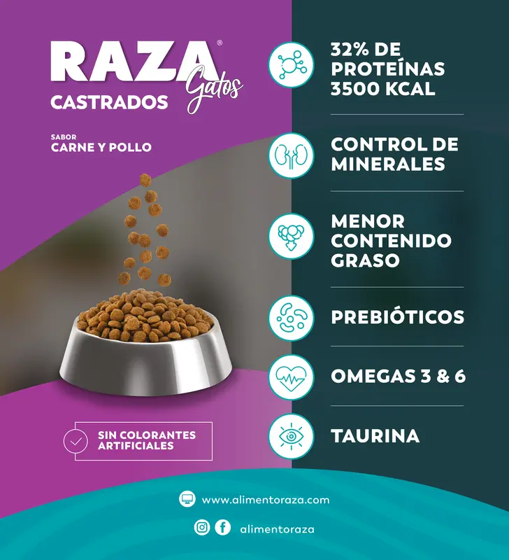 Foto de Raza Gato Castrado