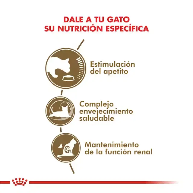 Foto de Royal Canin Gato Ageing 12+