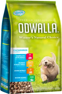 Foto de Odwalla Perro Cachorro