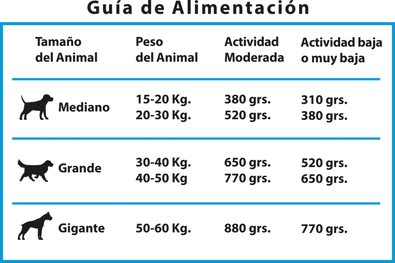Foto de Total Khan Adulto de Raza Mediana y Grande