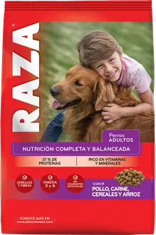 Foto de Raza Perro Adulto Pollo, Carne, Cereales y Arroz