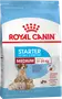 Foto de Royal Canin Medium Starter Mother & Babydog