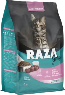 Foto de Raza Gatitos