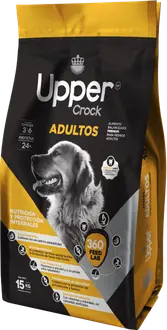 Foto de Upper Crock Perro Adulto