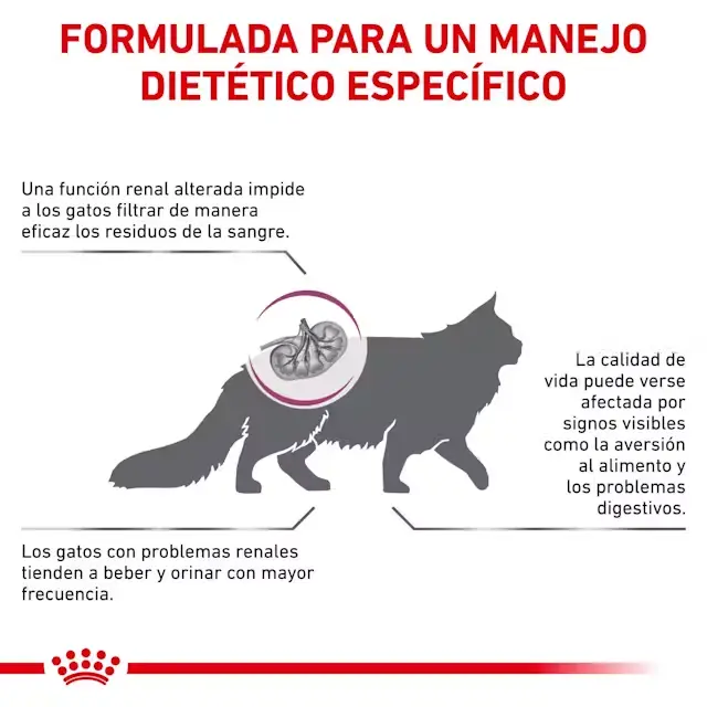 Foto de Royal Canin Gato Veterinary Renal
