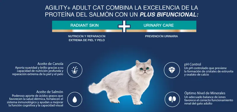 Foto de Agility Gato Adulto Cordero