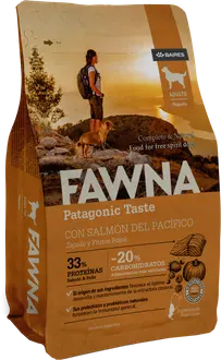 Foto de Fawna Perro Adulto Mordida Pequeña