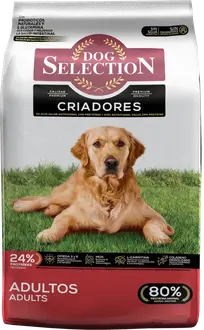 Foto de Dog Selection Criadores Adulto