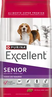 Foto de Excellent Perros Señor