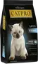 Foto de Catpro Kitten