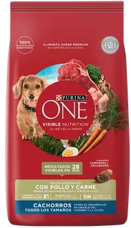 Foto de One Perro Cachorro con Pollo y Carne