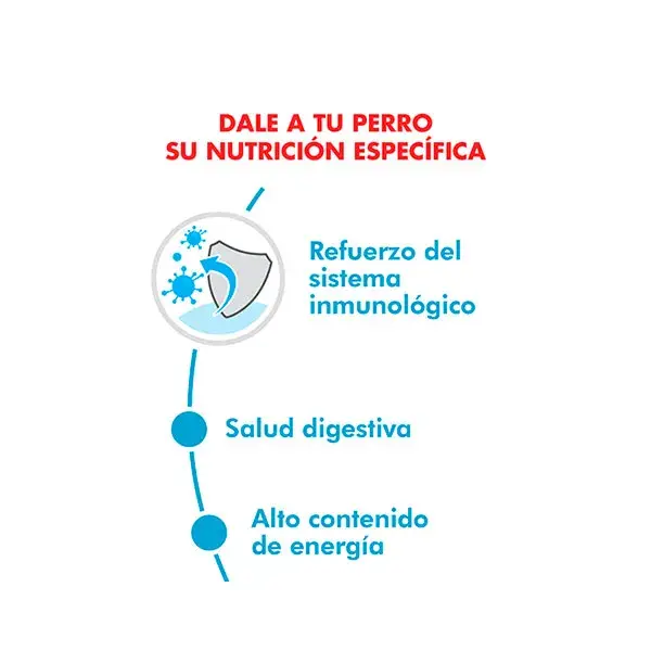 Foto de Royal Canin Mini Puppy