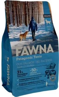 Foto de Fawna Perro Senior