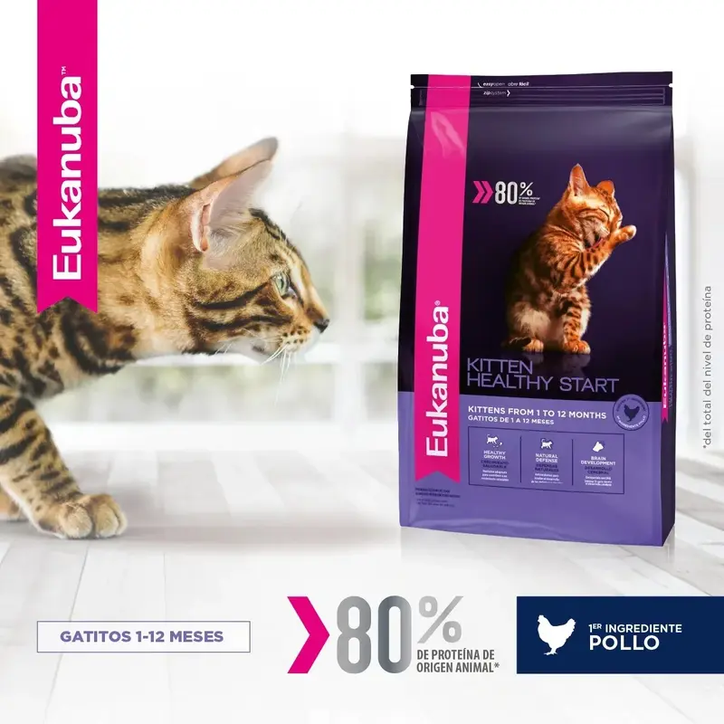 Foto de Eukanuba Kitten Healthy Start