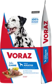 Foto de Voraz Perros Adultos