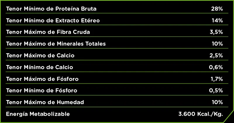 Foto de Infinity Perro Cachorro