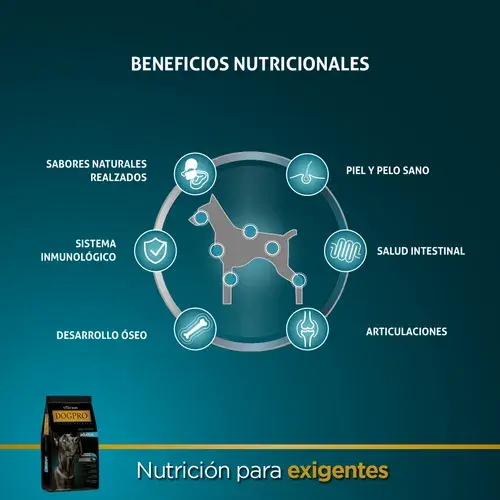 Foto de DogPro Perro Adulto