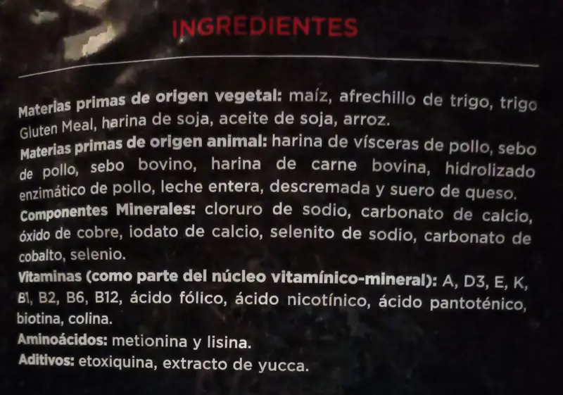 Foto de Upper Crock Perro Adulto Criadores