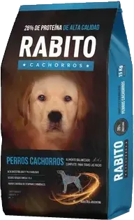 Foto de Rabito Cachorros