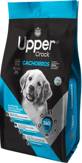 Foto de Upper Crock Perro Cachorro