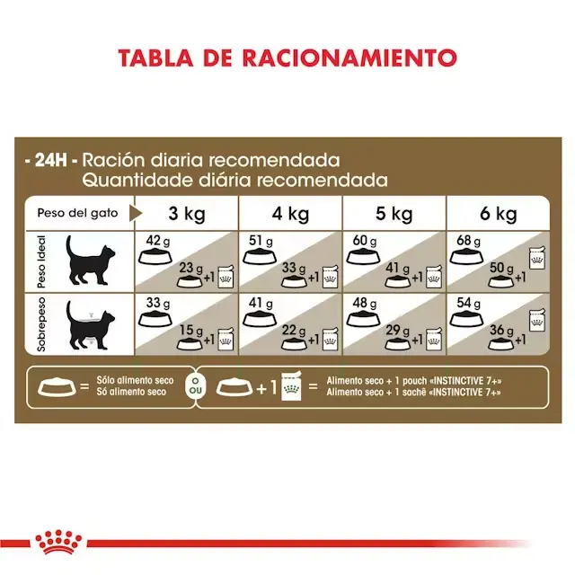 Foto de Royal Canin Gato Ageing 12+