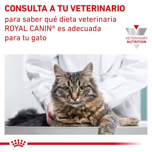 Foto de Royal Canin Gato Veterinary Renal
