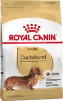 Imágen de Royal Canin Dachshund (Salchicha) Adulto