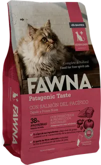 Foto de Fawna Gato Esterilizado
