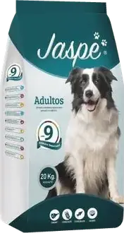 Foto de Jaspe Perro Adulto