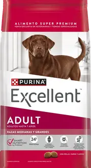 Foto de Excellent Perros Adulto Razas Medianas y Grandes