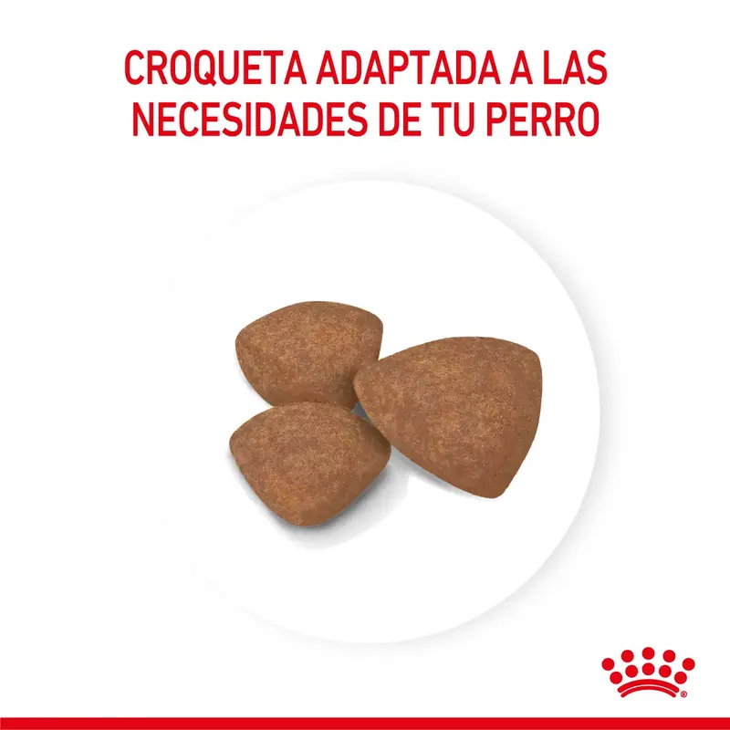 Foto de Royal Canin Mini Puppy