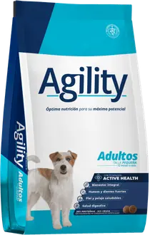 Foto de Agility Perro Adulto de Razas Pequeñas