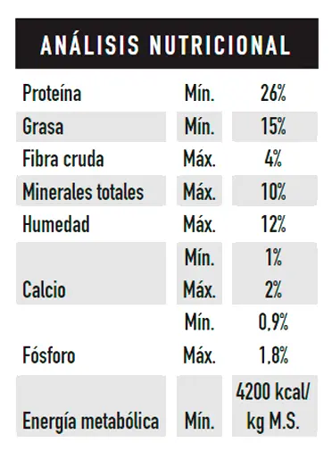 Foto de Dog Selection Criadores Cachorros