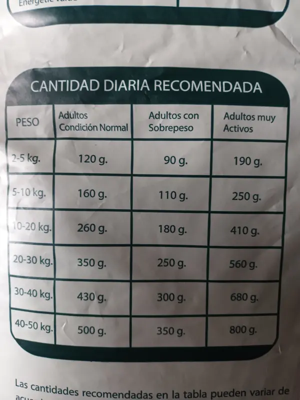 Foto de Jaspe Perro Adulto Mordida Pequeña