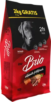 Foto de Brio Perro Adulto