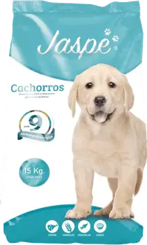 Imagen de Jaspe Perro Cachorro