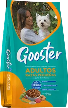 Imagen de Gooster Prros Adultos de Razas Pequeñas