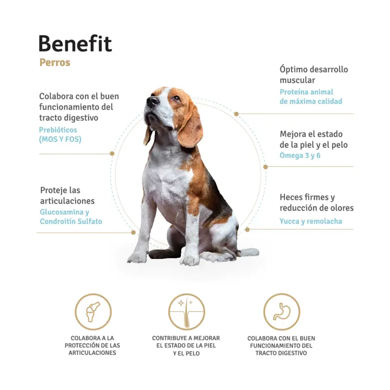 Foto de Benefit Perro Adulto Mordida Grande