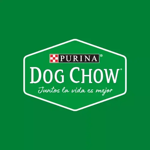 Foto de Dog Chow Perro Senior Longevidad