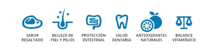 Foto de Dar Win Perros Adultos