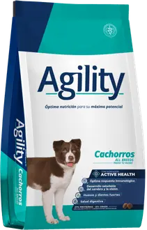 Foto de Agility Perro Cachorro
