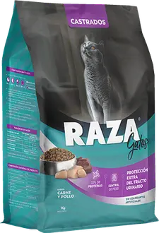 Foto de Raza Gato Castrado