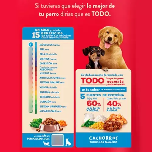 Foto de Dogui Perro Cachorro