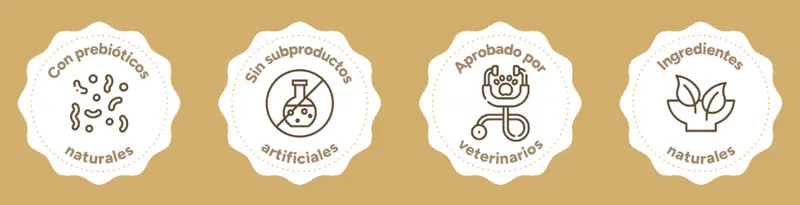 Foto de Pupy Food Gatos