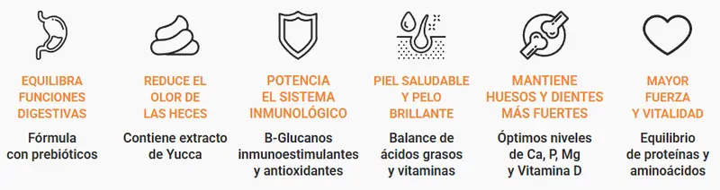 Foto de MisterPet Perro Adulto Mordida Grande