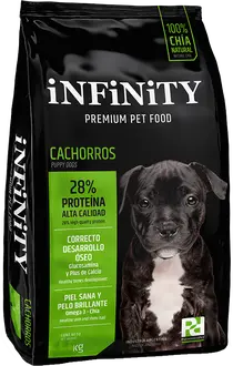 Foto de Infinity Perro Cachorro