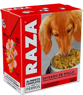 Foto de Raza Perro Adulto Guisado de Pollo